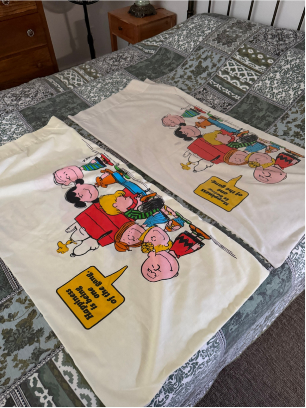 Vintage 1971 Peanuts Snoopy Pillowcases Set 2 Happiness Is One of the Gang